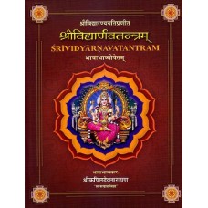 Sri Vidyarnava Tantram of Sri Vidyaranya by Sri Kapildev Narayan in Hindi(श्री विद्यारण्य के श्री विद्यारण्य तंत्र)