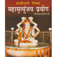 sanjeevanee vidya mahaamrtyunjay prayog by  Yogiraj yashpal ji in hindi(संजीवनी विद्या महामृत्युंजय प्रयोग)