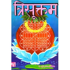 trisuktam by Pt. Hari om Kaushik in hindi(त्रिसूक्तम)